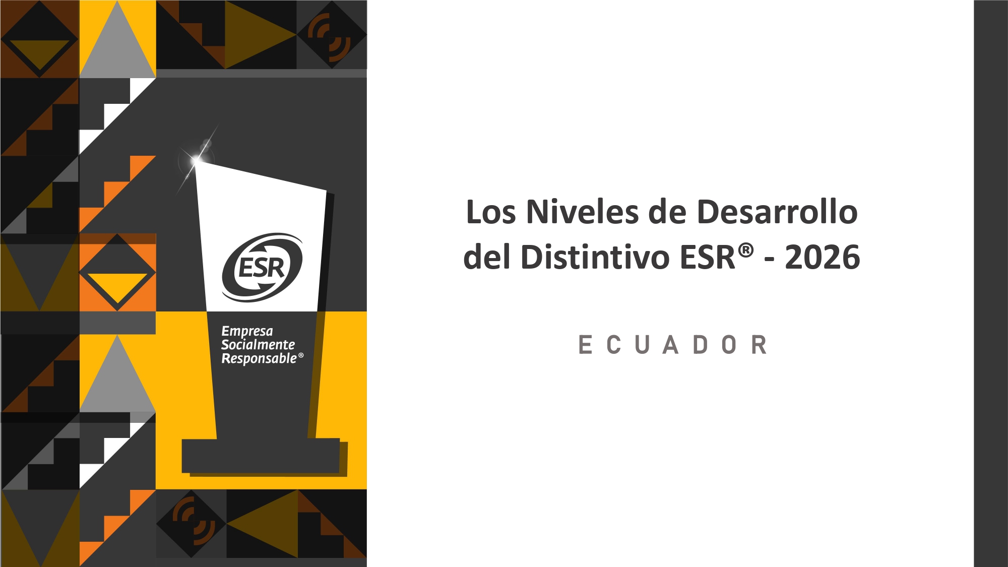 Curso ESR niveles de Desarrollo 